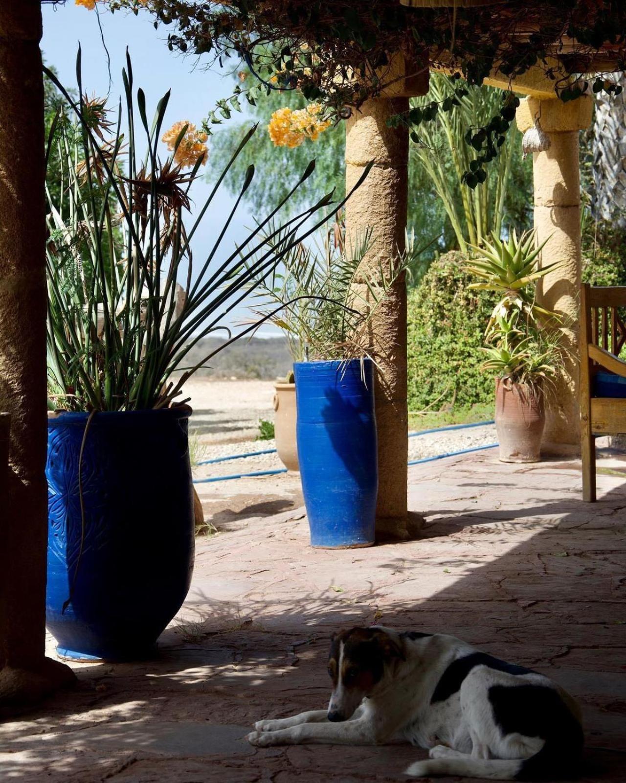 L'Air De La Mer Sidi Kaouki Buitenkant foto