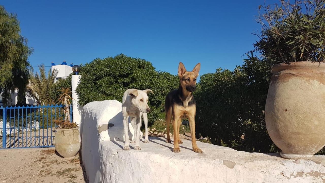 L'Air De La Mer Sidi Kaouki Buitenkant foto
